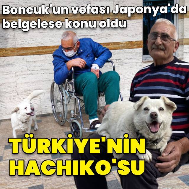 Boncuk'un vefası, Japonya'da belgesele konu oldu