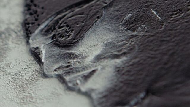 'Görülmeyen Dünya' sergisi Beykoz'da