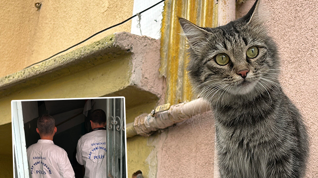 Kedi besleme tartışmasında emekli öğretmen dehşet saçtı: 1'i ağır 2 yaralı