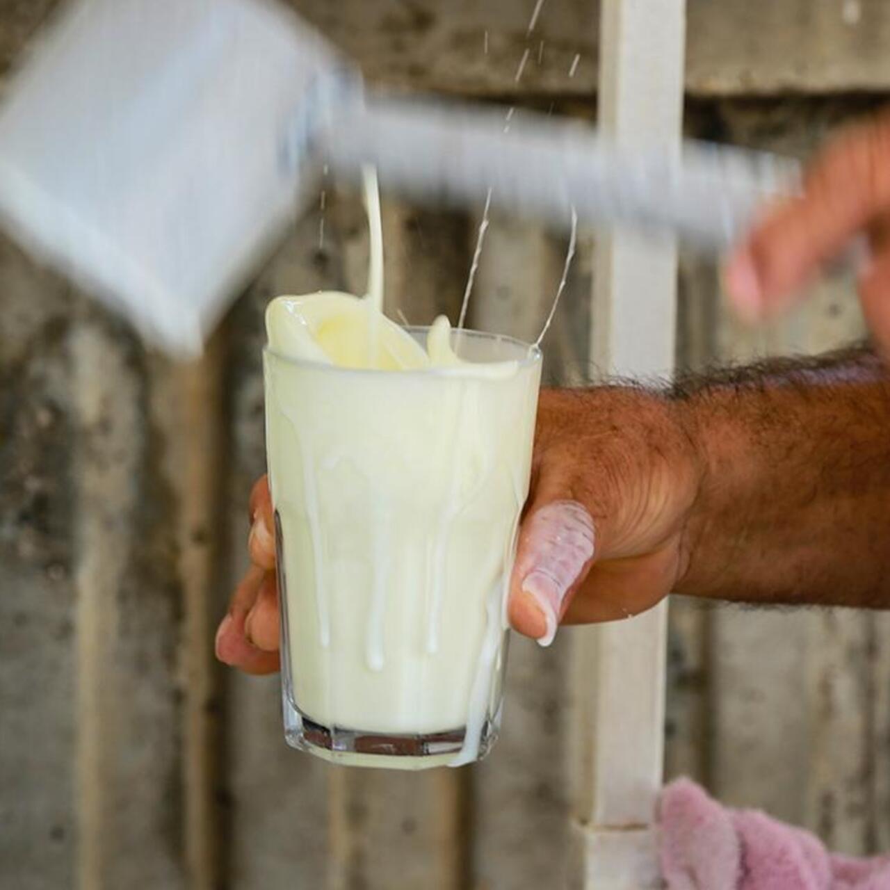 Ayran üretiminde rekor