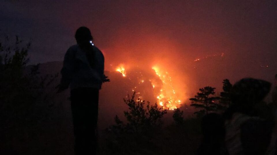 4 ilde orman yangını