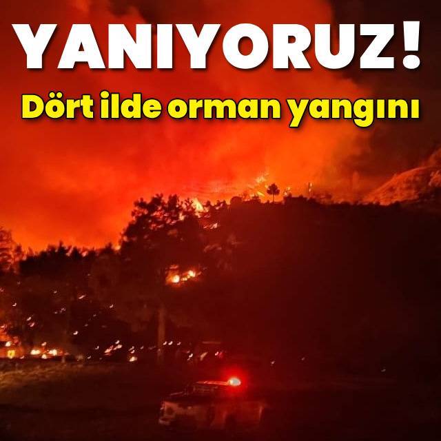 4 ilde orman yangını