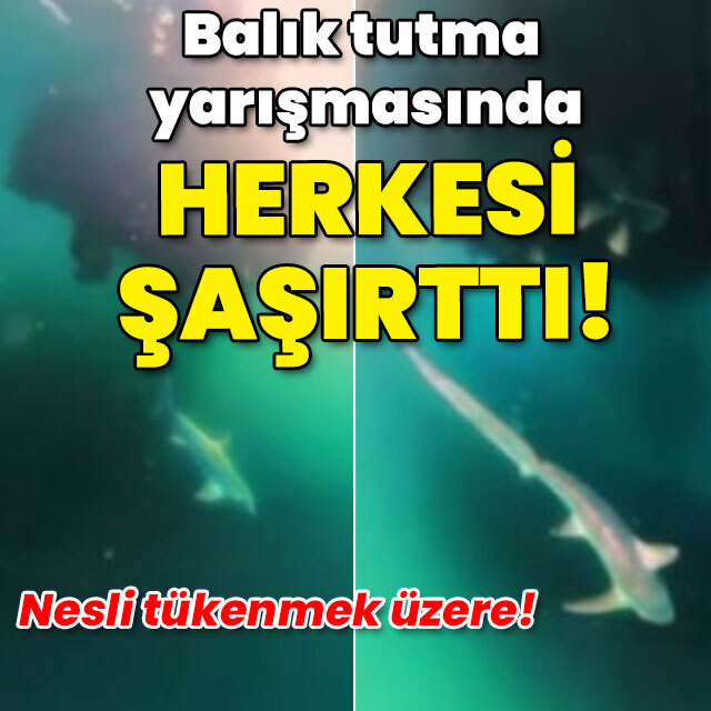 Nesli tükenmek üzere! Oltaya takılan balık herkesi şaşırttı!