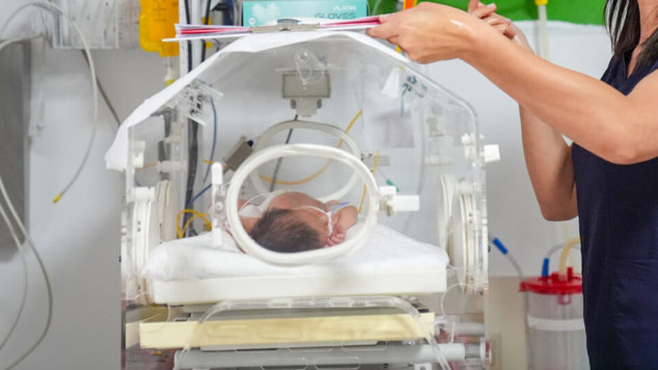 Türkiye'yi sarsan 'Yenidoğan çetesi' böyle çökertildi