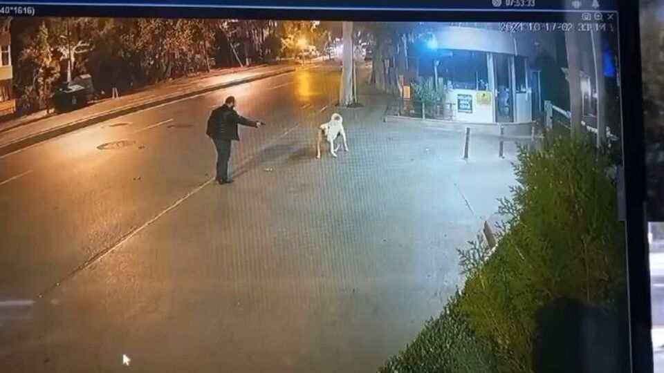 Köpeğe silah çeken adam tutuklandı