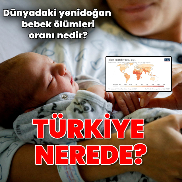 Dünyada bebek ölümleri verileri