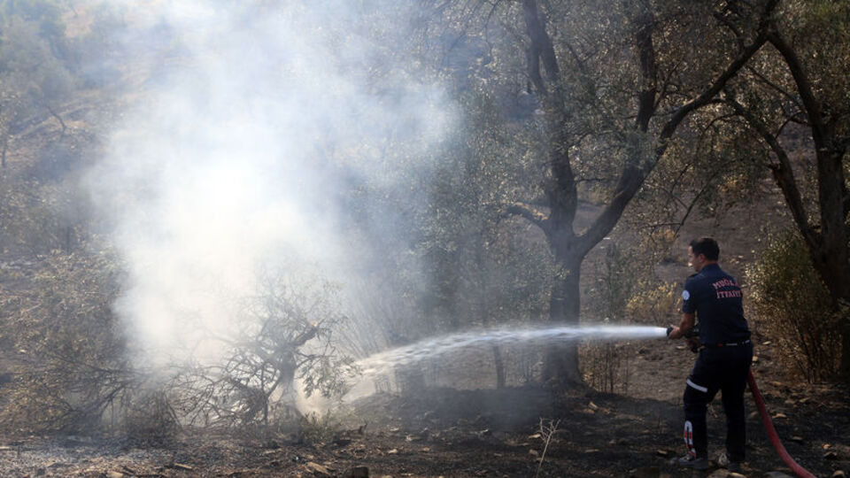 Muğla'da orman yangını