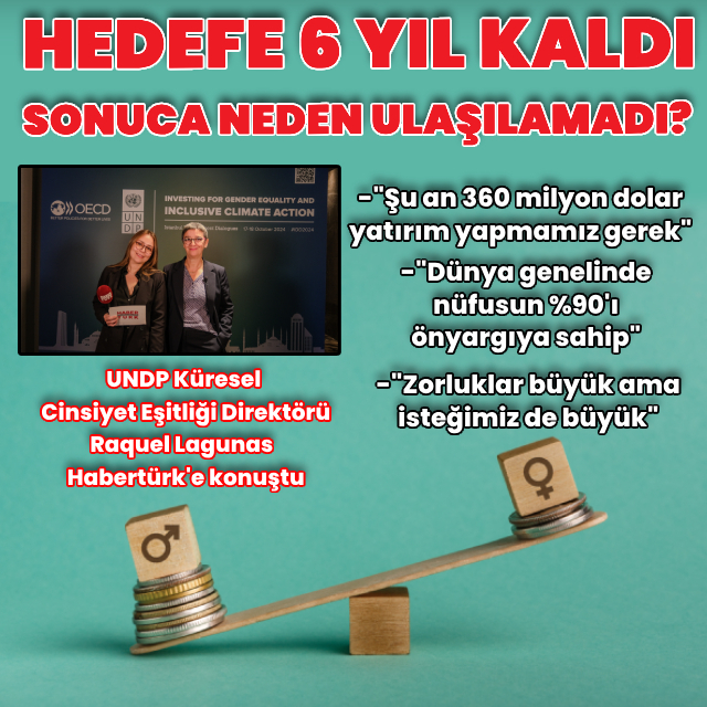 Eşitlik hedefine 6 yıl kaldı, sonuca neden ulaşılmadı?
