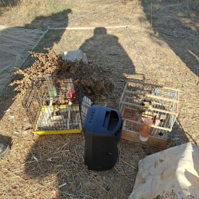 Ula'da kaçak avcıya para cezası