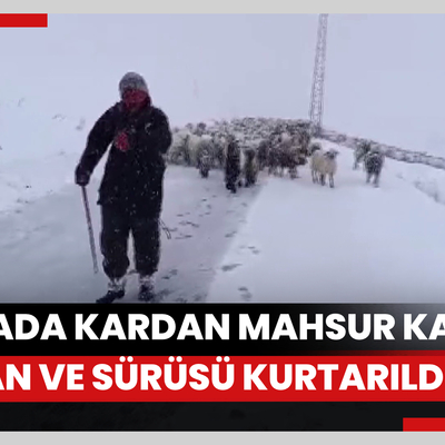 Yaylada kardan mahsur kalan çoban ve sürüsü kurtarıldı