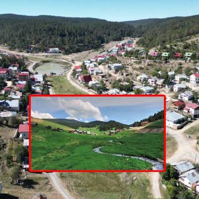 Sivas'ın akciğeri betonlaştı!