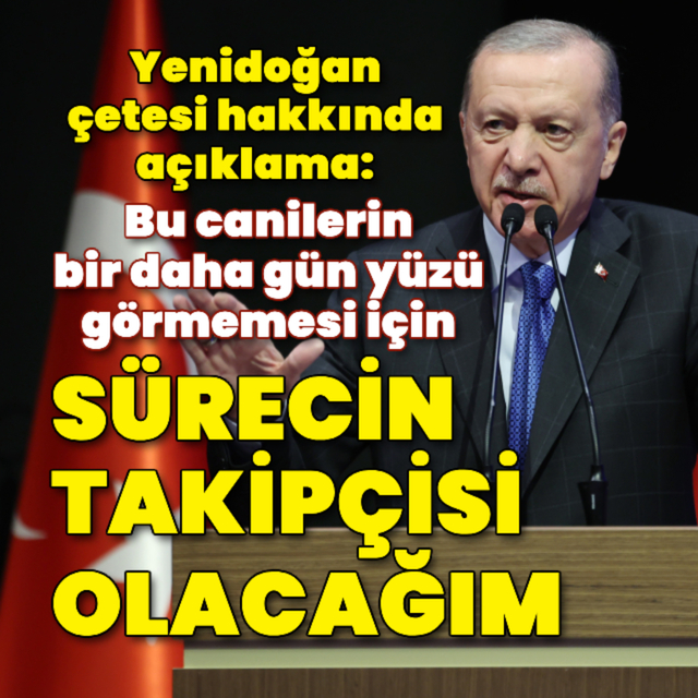 Cumhurbaşkanı Erdoğan'dan yenidoğan çetesi hakkında açıklama