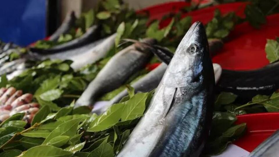 Fırtına balık fiyatlarını artırdı