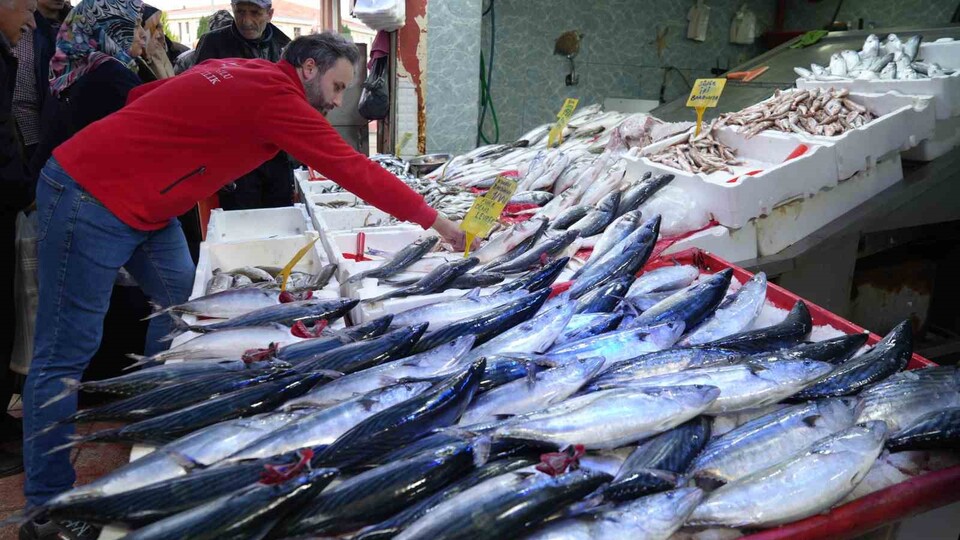 Fırtına sonrası balık fiyatları düştü