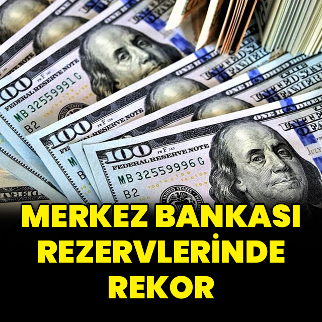 Merkez rezervlerinde rekor