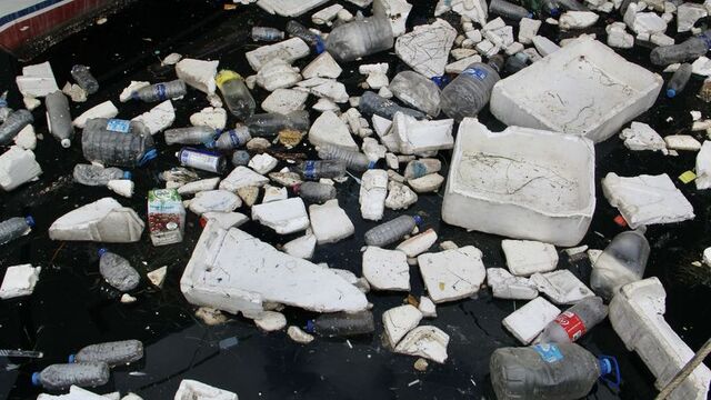 Plastik çöpler deniz yaşamını da tehdit ediyor!
