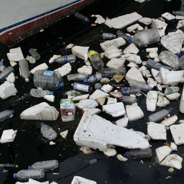 Plastik çöpler deniz yaşamını da tehdit ediyor!