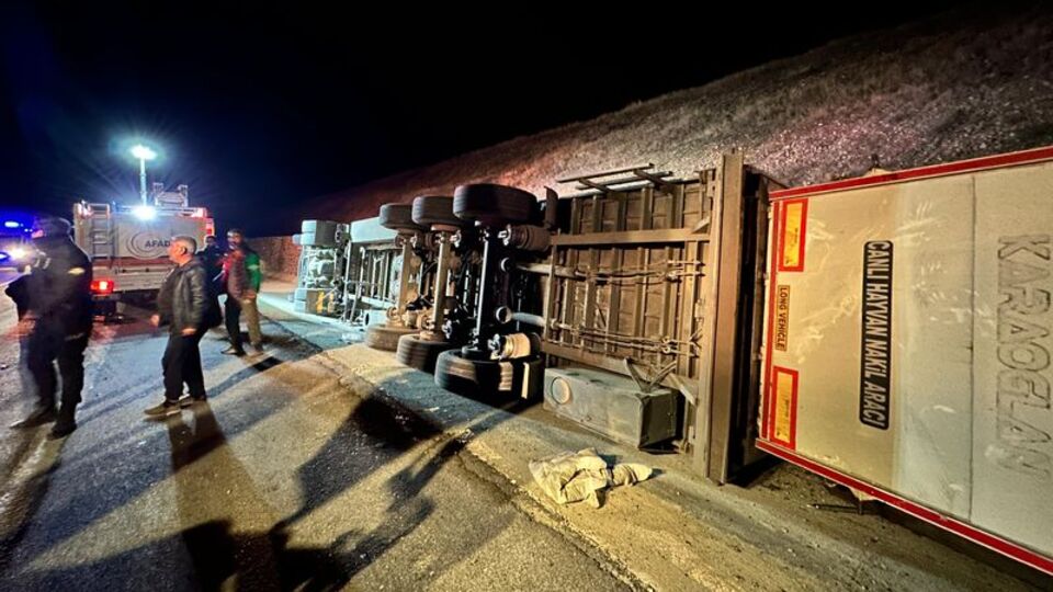 Tunceli'de TIR devrildi: 50 küçükbaş öldü