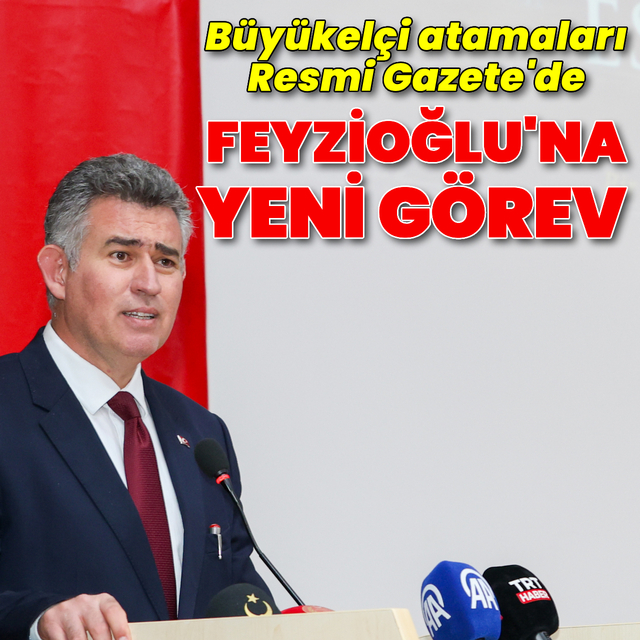 Metin Feyzioğlu, Çek Cumhuriyeti'ne atandı