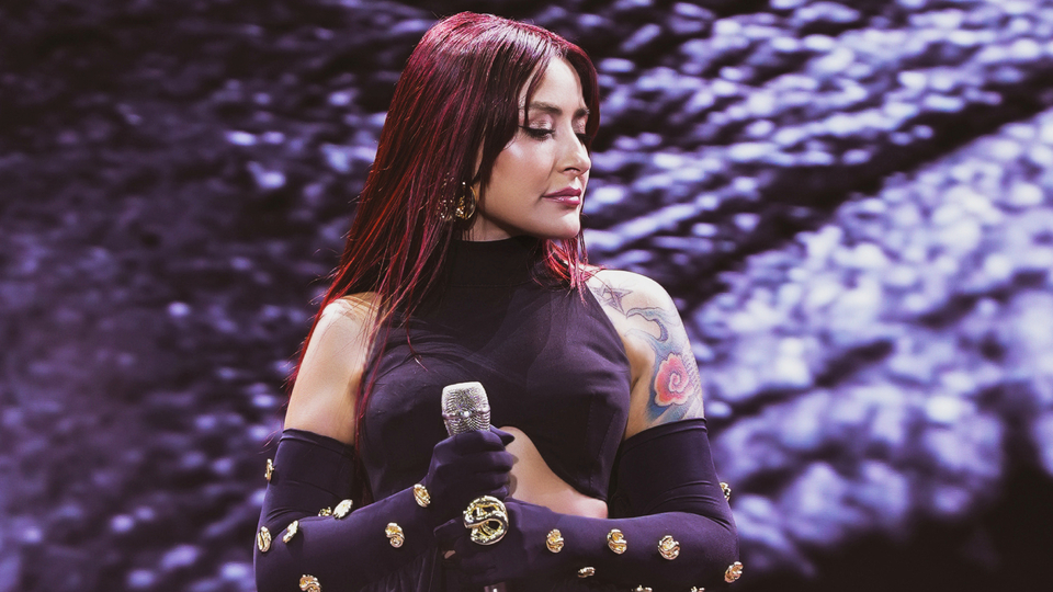 Konser gelirini Mehmetçik Vakfı'na bağışladı