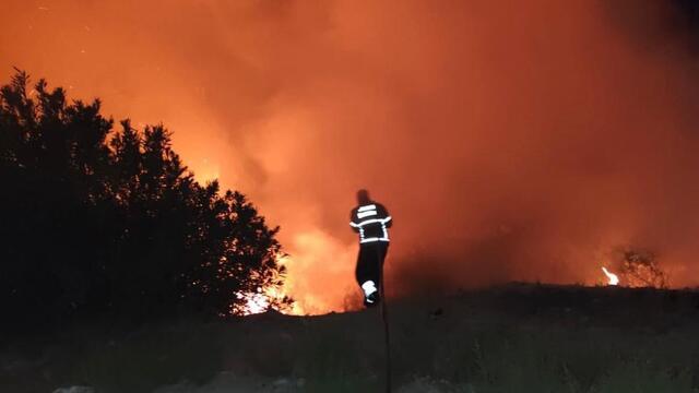 Antakya'da çıkan orman yangını büyümeden söndürüldü