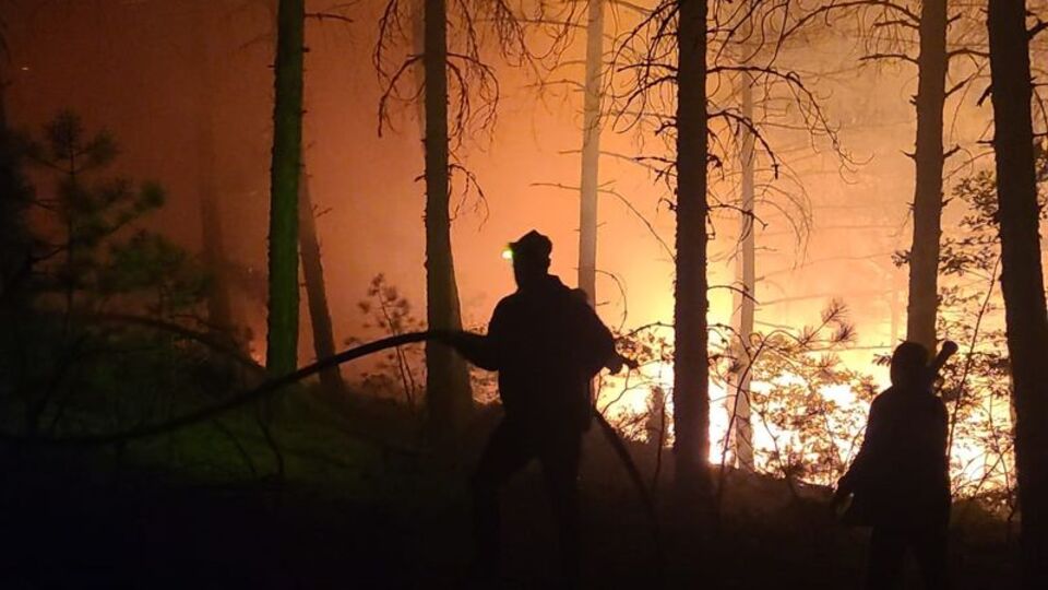 Kütahya'daki orman yangını kontrol altında