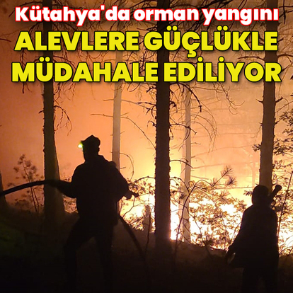 Kütahya'daki orman yangını kontrol altında