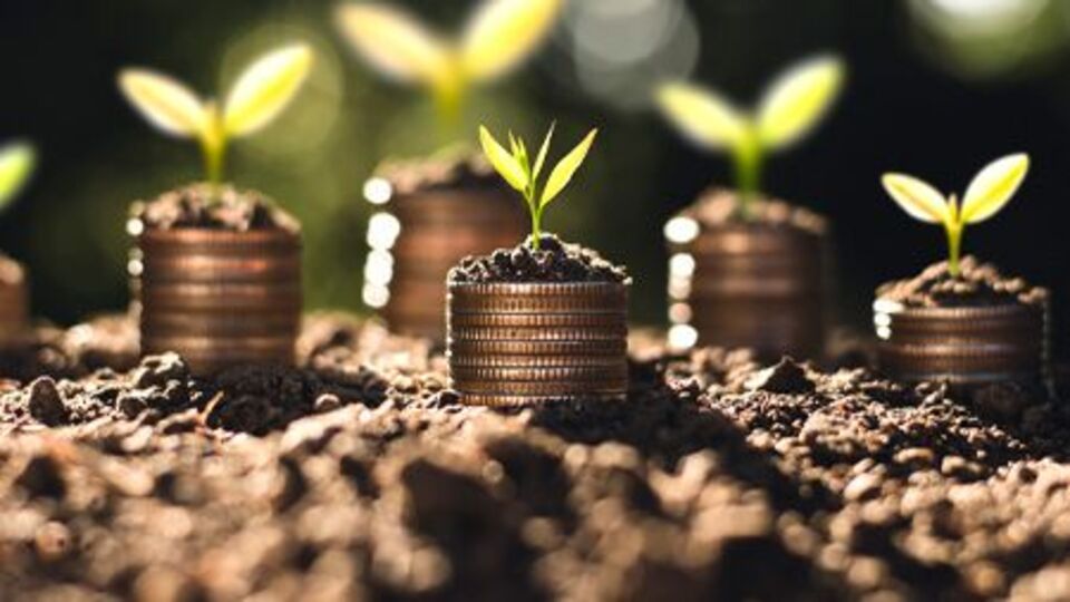 BES'te hedef 17.6 milyon katılımcı