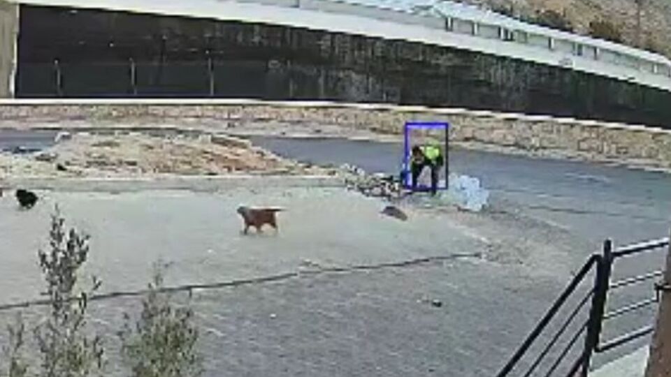 Vicdansız! Yavru köpeği parke taşıyla öldürdü