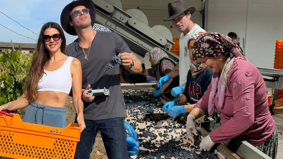 Doğum gününde üzüm topladı