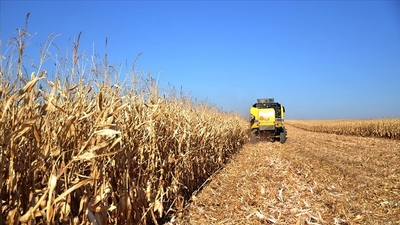 Organize tarım bölgeleri için yatırım rehberi hazırlandı