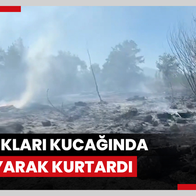 9 yaşındaki çocuk ot yangınından etkilenmemeleri için tavuklarını kucağında taşıdı