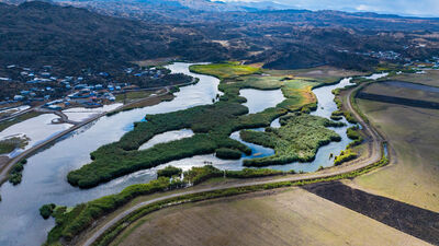Denize kıyısı olmayan kentte 348 tür!