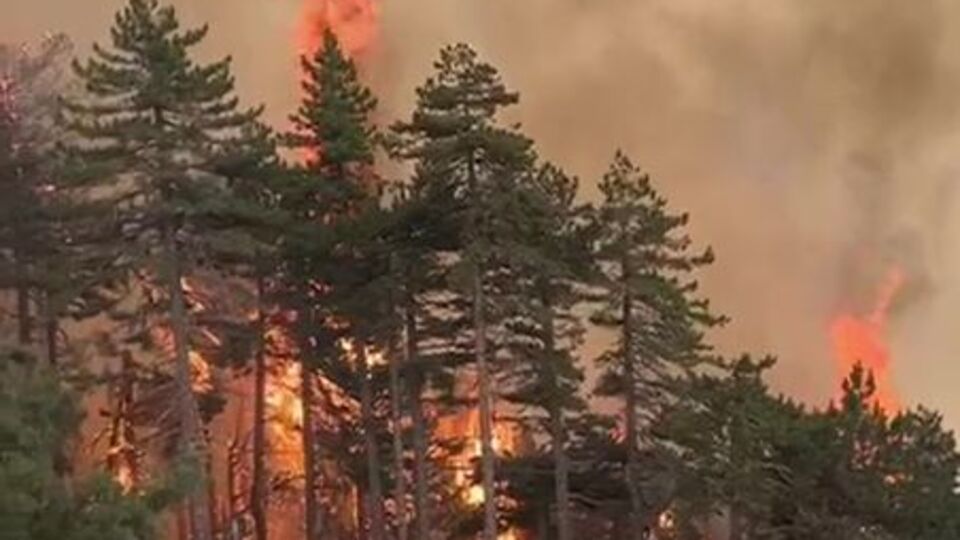Denizli'deki orman yangını kontrol altında
