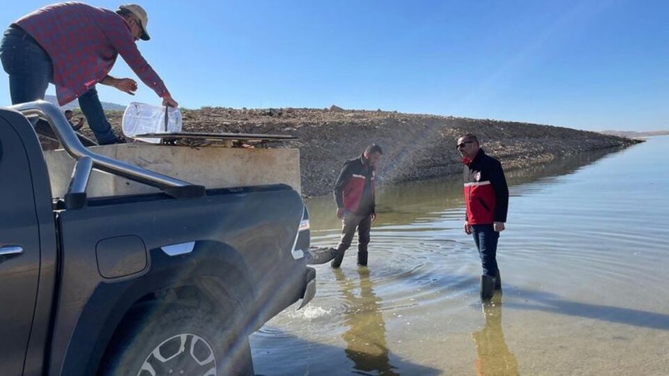 Batman'da baraja 1 milyon yavru balık