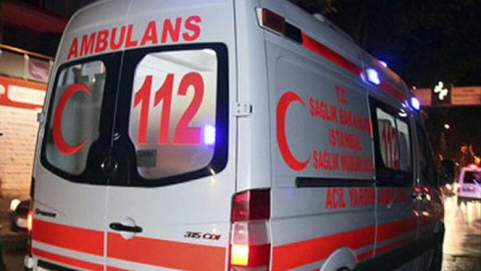Armut ağacından düşen kişi öldü