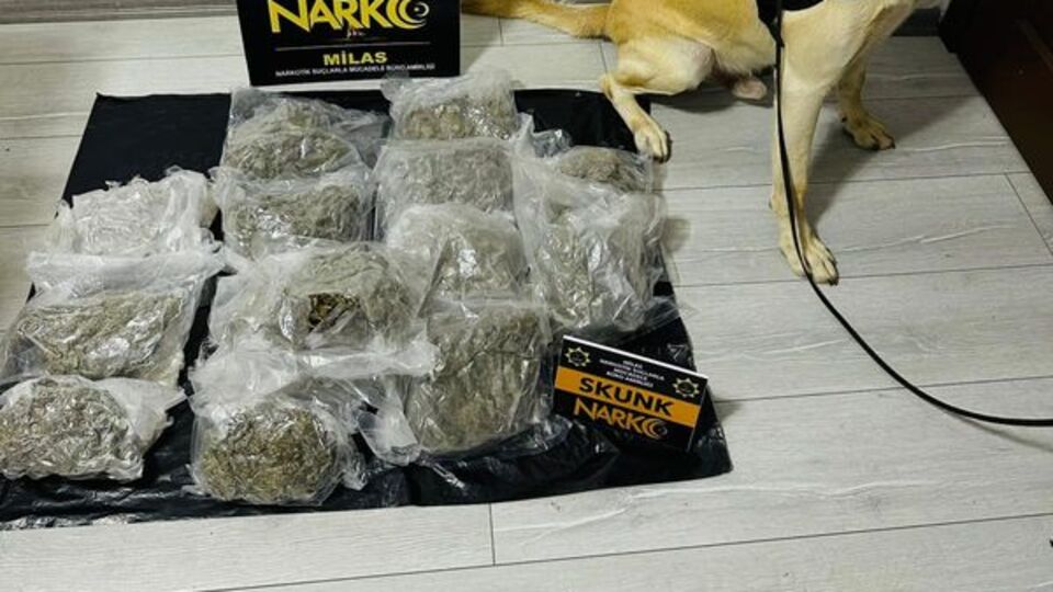 Muğla'da uyuşturucu operasyonu: 10 tutuklama