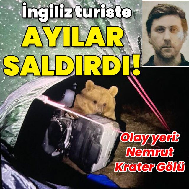İngiliz turiste ayılar saldırdı!