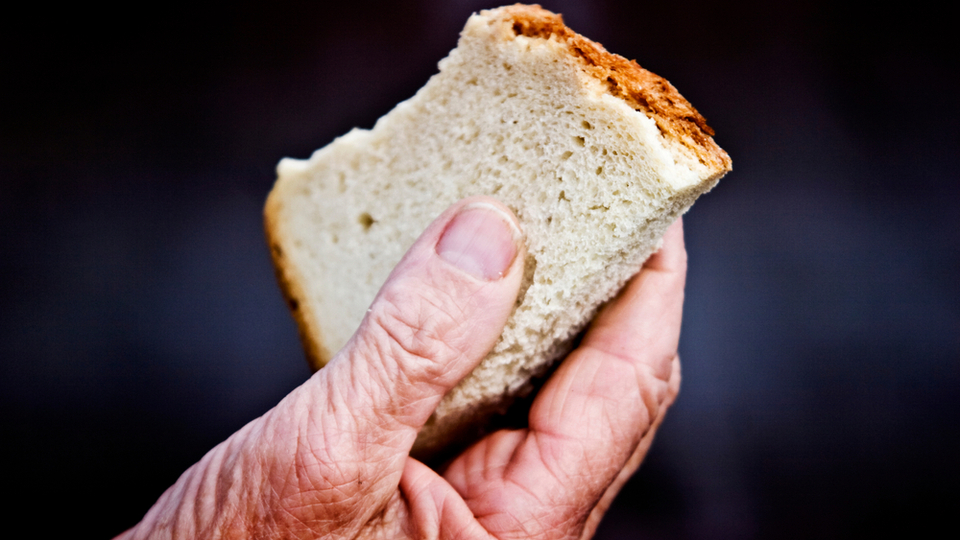 Dünyada 11 kişiden biri açlıkla karşı karşıya