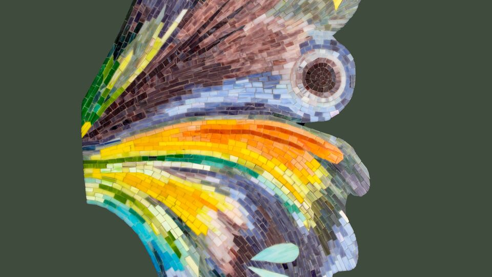 15 sanatçıdan 'Cansiparane' sergisi