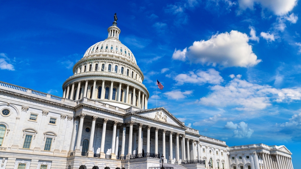 Adım adım ABD seçimleri