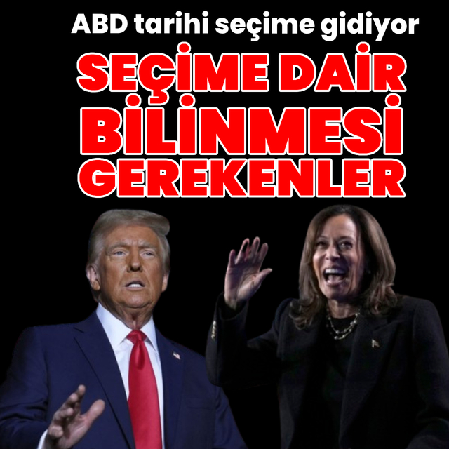 Adım adım ABD seçimleri