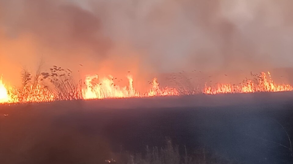Eber Gölü'nde dumanlar yükseldi!