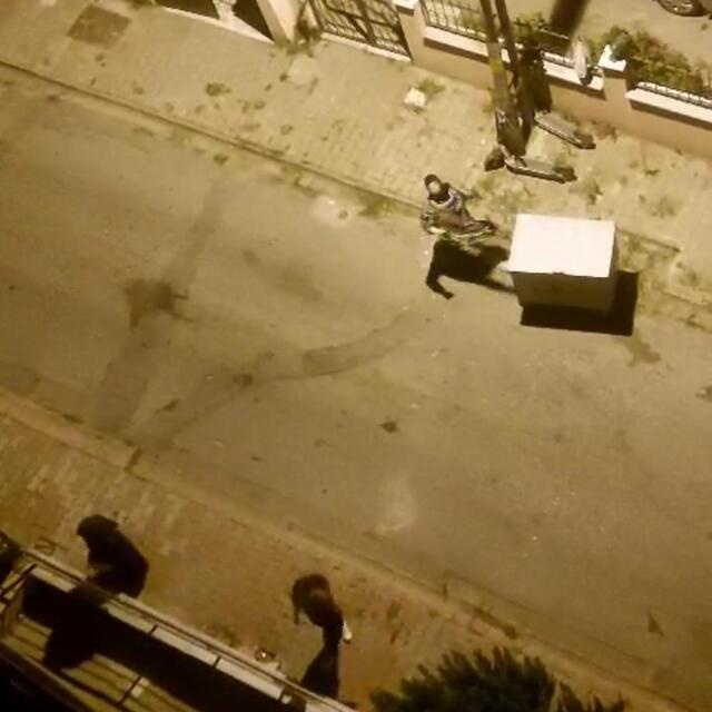 İstanbul'a gelip kiracısına kabusu yaşattı