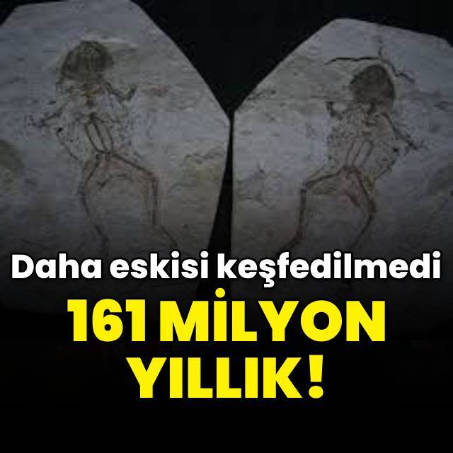 Daha eskisi keşfedilmedi! 161 milyon yıllık