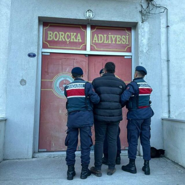 Ormanda kesimle ilgili kooperatif başkanına gözaltı