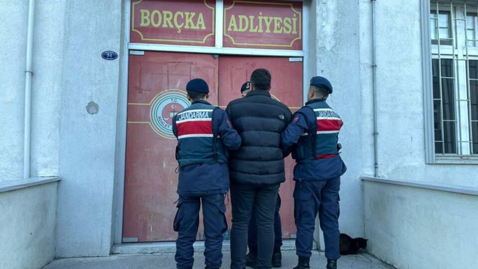 Ormanda kesimle ilgili kooperatif başkanına gözaltı