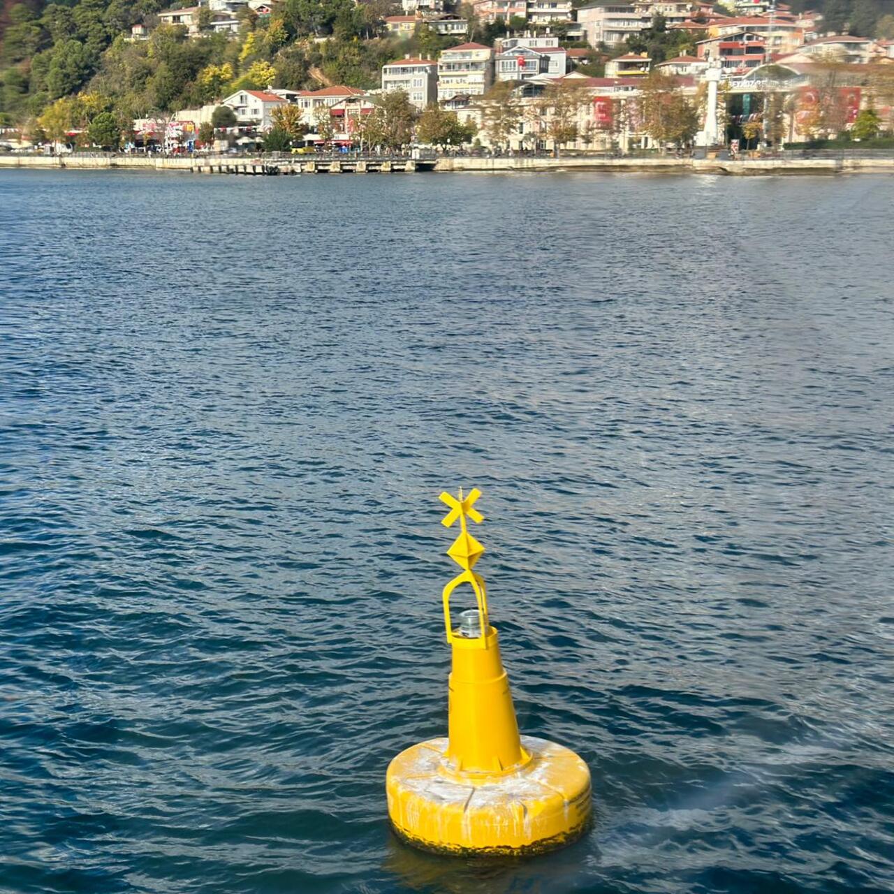 İstanbul Boğazı'ndaki deniz çayırları şamadıralarla korunuyor