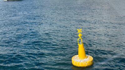 İstanbul Boğazı'ndaki deniz çayırları şamadıralarla korunuyor