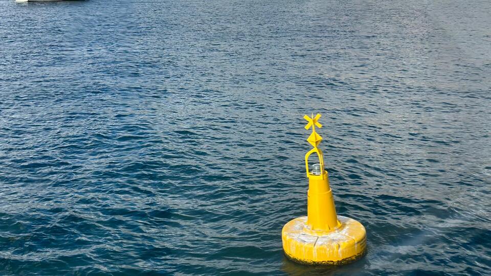 İstanbul Boğazı'ndaki deniz çayırları şamadıralarla korunuyor